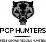 PCP Hunters – blog
